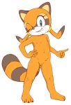  2018 anthro areola breasts cub erect_nipples female flat_chested jetfrozen mammal marine_the_raccoon nipples nude pose procyonid pussy raccoon simple_background smile solo sonic_(series) standing young 