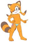  2018 anthro areola bikini breasts camel_toe clothed clothing cub erect_nipples female flat_chested jetfrozen mammal marine_the_raccoon nipples procyonid raccoon simple_background smile solo sonic_(series) standing swimsuit topless underwear young 