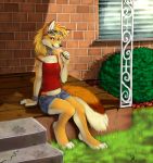  2013 anthro ash_fox_(skeleion) breasts canine clothing eating eyewear female food fox grass looking_at_viewer mammal outside panties popsicle sitting skeleion small_breasts solo sunglasses underwear 