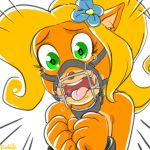  2018 5_fingers bandicoot bishopbb blonde_hair bound coco_bandicoot crash_bandicoot_(series) digital_media_(artwork) female fur gag gagged green_eyes hair long_hair mammal marsupial nude open_mouth orange_fur ring_gag saliva simple_background solo tears tongue tongue_out video_games white_background wide_eyed 