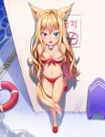  animal_ears bikini cleavage heterochromia kemo_(pokka) swimsuits tail 