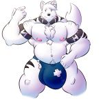  a0n a0nmaster a0nsecretroom blue_eyes bulge canine clothed clothing collar dog hyper invalid_tag mammal muscular nipples overweight samoyed slightly_chubby tattoo topless underwear 