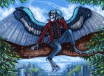  2018 amber_eyes anthro avian barefoot beak bird blue_feathers blue_jay clothed clothing corvid day detailed_background digital_media_(artwork) feathered_wings feathers flashw outside sitting sky solo treebranch wings 