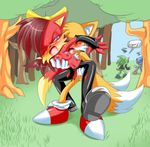  archie_comics fiona_fox scourge_the_hedgehog sonic_team sonic_the_hedgehog steel_tigerwolf tails 