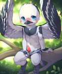  anthro avian beak bird blue_eyes blush child clothing cub feathers grey_feathers male penis precum pulling_down shorts sitting solo sweat tapering_penis unrealplace white_feathers young 