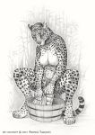 2018 4_toes anisis anthro bathing big_breasts breasts bucket feline female fur jaguar mammal navel nipples nude sketch solo spots spotted_fur toes traditional_media_(artwork) 