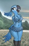  anthro avian bird blue_macaw bra breasts clothing drako1997 female hi_res jewel_(rio) macaw nipple_bulge parrot rio skirt solo underwear 