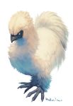  beak bird blue_eyes chicken claws commentary_request dated feathers full_body highres long_hair manino_(mofuritaionaka) no_humans original rooster signature simple_background solo standing white_background white_bird white_feathers 