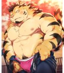  2018 anthro blush bulge clothing feline hinami hinami0506 humanoid_hands male mammal muscular nipples pants pecs solo tiger underwear undressing 