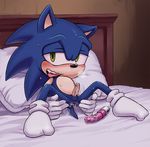  karlo sonic_team sonic_the_hedgehog tagme 