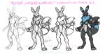  black_fur blue_flesh breasts claws digimon eeveelution female fur how-to nayrin nintendo nipples pink_eyes pok&eacute;mon pok&eacute;mon_(species) pok&eacute;mon_fusion renamon rose_the_umbrenamon sketch species: umbrenamon umbreon video_games 