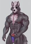  abs anthro areola barazoku biceps bulge canine clothed clothing eye_patch eyewear fur gatorbeast jockstrap male mammal manly mostly_nude muscular navel nintendo nipples pecs penis red_eyes smile solo standing star_fox thick_thighs triceps underwear vein veiny_penis video_games wolf wolf_o&#039;donnell 