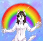  2018 cat dantae_meoi digital_media_(artwork) feline fur girly hair looking_at_viewer male mammal rainbow smile villmix white_fur 