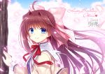  asakura_otome blue_eyes blush brown_hair cherry_blossoms da_capo da_capo_ii long_hair petals ribbons ryuuga_shou signed 