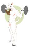  anthro balls barbell canine dog exercise flaccid hi_res humanoid_penis looking_at_viewer male mammal muscular nipples penis solo teil weightlifting weights workout 