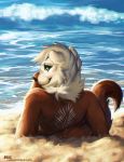  2018 anthro brown_fur brown_nose day detailed_background fur green_eyes lukiri mammal mustelid otter outside sand smile solo water 