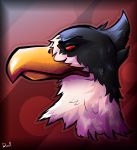  avian beak bird black_feathers eagle feathers headshot male red_eyes simple_background solo white_feathers 