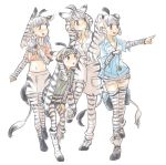  animal_ears animal_print belt black_hair boots cargo_shorts chapman's_zebra_(kemono_friends) collared_shirt commentary crop_top eyebrows_visible_through_hair grevy's_zebra_(kemono_friends) kemono_friends long_hair long_sleeves midriff mountain_zebra_(kemono_friends) multicolored_hair multiple_girls necktie pantyhose plains_zebra_(kemono_friends) pleated_skirt pointing scarf shirt short_shorts short_sleeves shorts shuushuusha skirt striped striped_legwear thighhighs white_hair zebra_ears zebra_print zebra_tail 