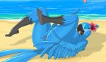  2018 anthro anthrofied avian beak bird blue_feathers blue_macaw breasts butt el-loko eyes_closed feathers female jewel_(rio) lying masturbation on_back open_mouth pussy pussy_juice rio solo tongue 