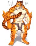  2018 abs anthro biceps captainjohkid clothing feline fur hi_res male mammal muscular pecs simple_background text tiger translation_request 