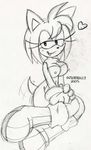  amy_rose praiz sonic_team tagme 