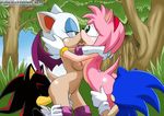  amy_rose animated palcomix rouge_the_bat shadow_the_hedgehog sonic_team sonic_the_hedgehog 