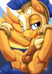  2018 animal_genitalia animal_penis anus armor balls blue_eyes blue_hair equine equine_penis erection feral flash_sentry_(mlp) friendship_is_magic galea hair helmet looking_at_viewer male mammal my_little_pony mysticalpha pegasus penis pose solo wings 