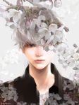  absurdres bangs black_shirt cherry_blossoms collared_shirt commentary curly_hair expressionless flower gradient_hair grey_eyes grey_hair harutan044 highres kaneki_ken lips looking_at_viewer male_focus multicolored_hair nose one_eye_covered parted_lips portrait realistic sasaki_haise shirt silver_hair simple_background solo tokyo_ghoul twitter_username two-tone_hair white_background wing_collar 