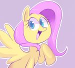  blue_eyes equine female feral fluttershy_(mlp) friendship_is_magic hair horse mammal my_little_pony norithecat pegasus pony smile solo wings 