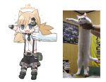  :3 animal_ears blonde_hair blue_eyes blue_panties boots cat_ears collared_shirt commentary fang fanny_pack fingerless_gloves girls_frontline gloves green_footwear grey_gloves hair_ornament hairclip holding_person idw_(girls_frontline) lifting_person longcat meme necktie open_mouth panties ran_system shirt short_shorts shorts sleeves_rolled_up smile suspender_shorts suspenders tsurime twintails underwear v-shaped_eyebrows white_shirt 