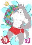  2018 abs anthro biceps black_nose bulge canine clothing digital_media_(artwork) fur hi_res male mammal muscular muscular_male pecs rabbitdx26 simple_background standing summer wolf 