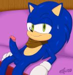  anthro balls clothing excito gloves hedgehog humanoid_penis looking_at_viewer male mammal mostly_nude penis scarf scarf_only sitting solo sonic_(series) sonic_the_hedgehog 