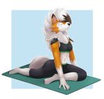  2018 anthro bra canine claws clothed clothing dusk_lycanroc female fur invalid_tag lycanroc mammal nintendo orange_fur pkuai pok&eacute;mon pok&eacute;mon_(species) simple_background smile solo sports_bra underwear video_games white_fur yoga yoga_mat 