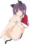  animal_ears barefoot blush cat_ears comic_girls derivative_work hinata_masaki irokawa_ruki looking_at_viewer panties purple_eyes purple_hair santa_costume simple_background smile solo tail underwear white_background 