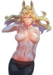 1girl animal_ears areolae blonde_hair breasts breasts_apart broye closed_mouth horse_ears horse_tail long_hair looking_at_viewer medium_breasts navel nipples purple_eyes smile solo standing tail topless umamusume 