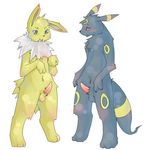  jolteon nintendo pokemon tagme umbreon 