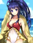  armpits blue_sky blush braid breasts cleavage closed_mouth cloud collarbone covered_navel day fire_emblem fire_emblem:_seima_no_kouseki fire_emblem_heroes gloves hair_bobbles hair_ornament hand_up head_tilt horizon jurge long_hair looking_at_viewer medium_breasts ocean one-piece_swimsuit open_mouth outdoors pegasus_knight ponytail purple_eyes purple_hair side_braids sky smile solo strapless strapless_swimsuit swimsuit tana twin_braids very_long_hair water 