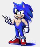  clothing digital_media_(artwork) eulipotyphlan footwear hedgehog male mammal shoes solo sonic_(series) sonic_the_hedgehog thewill video_games 