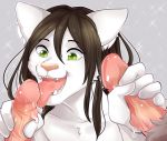  2018 anthro cat dantae_meoi digital_media_(artwork) erection feline fellatio fur girly hair humanoid_penis male male/male mammal open_mouth oral penis sex simple_background smile tongue tongue_out villmix white_fur 