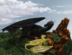 2011 black_scales day detailed_background digital_media_(artwork) dragon duo feral horn kerydragon membranous_wings outside scales scalie sky western_dragon wings yellow_scales 