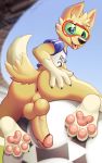  2018 4_toes anthro anus bottomless butt canine claws clothed clothing digital_media_(artwork) don_ko eyewear fifa goggles humanoid_penis looking_at_viewer male mammal mascot pawpads penis solo toe_claws toes tongue tongue_out vein wolf zabivaka 