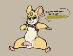  balls digital_media_(artwork) ear_tuft erection fluffy fur hammond_(overwatch) hamster harness kittykero male mammal overwatch paws penis rodent smile smug solo teeth text thick_thighs tuft video_games 