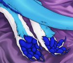  bariesuterram bed blusky halley invalid_color paws sergal 