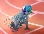  anthro ari_(caudamus) athletic blue_eyes clothing freckles fur girly grey_fur hair kneeling looking_away male mammal mouse multicolored_hair nekoshiba pink_nose pink_tail rodent short_hair smile solo sweat track_and_field track_shorts whiskers 