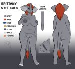  anthro areola big_areola big_breasts blue_eyes breasts digital_media_(artwork) elephant english_text female hair huge_breasts inverted_nipples looking_at_viewer mammal model_sheet negativetheory nipples nude open_mouth plump_labia pussy red_hair simple_background slightly_chubby smile solo text trunk voluptuous wide_hips 
