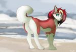  all_fours beach blue_eyes butt canine claws dog female feral fur green_nose green_pawpads hair husky looking_at_viewer looking_back mammal metalfox pawpads presenting raised_tail rear_view red_fur red_hair sand sea seaside solo tazrahusky water 