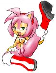  amy_rose praiz sonic_team tagme 