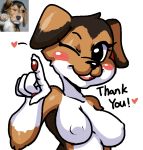  &lt;3 2018 5_fingers anthro anthrofied beagle blush breasts canine dialogue digital_media_(artwork) dog english_text female fur lollipopcon looking_at_viewer mammal meme multicolored_fur nipples nude one_eye_closed portrait real simple_background smile solo text white_background wink 