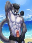  anthro barbed_penis beach clothed clothing cougar detailed_background eyewear feline glasses hat kyma male mammal outside partially_clothed penis sea seaside solo water 
