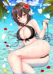  alternate_costume arm_support ass azur_lane bangs beach bikini black_bikini blue_sky blush breasts brown_eyes brown_hair cloud commentary_request day flower front-tie_top hair_between_eyes hair_flower hair_ornament hand_up holding horns long_hair looking_at_viewer lying md5_mismatch medium_breasts mikasa_(azur_lane) ocean on_side open_mouth ougi_(ihayasaka) outdoors palm_leaf partially_submerged petals petals_on_liquid ripples shell sky smile solo swimsuit thighs wet wind 